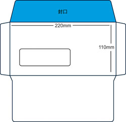 windowed envelope address template